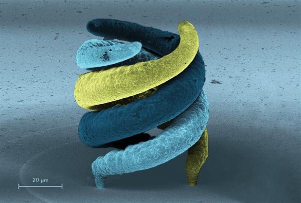  микроскопические объекты печатаются на 3D-принтере 